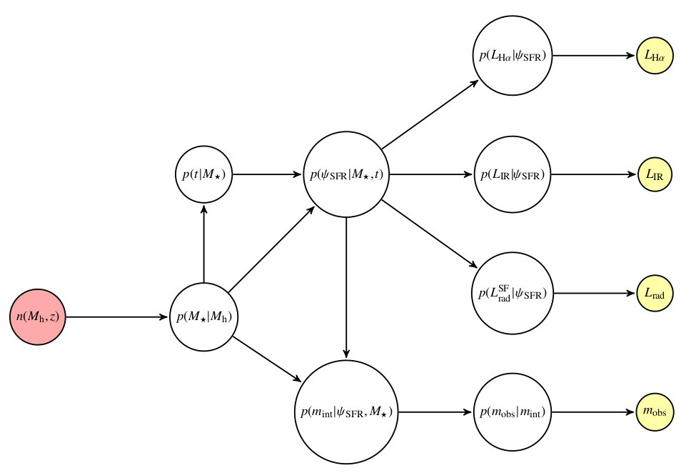 Probabilistic graph describing the model.