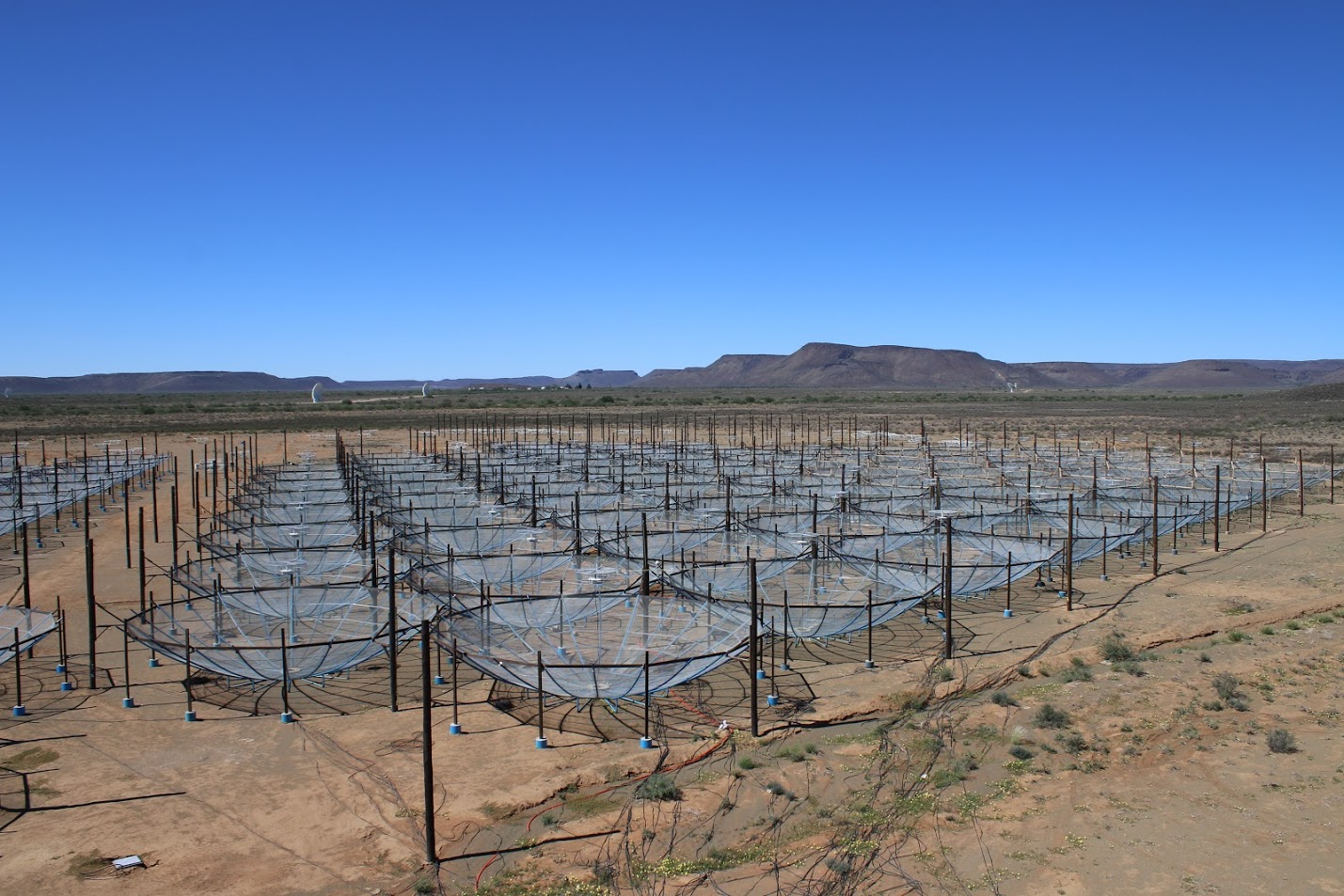 HERA array, with PAPER (foreground) and MeerKAT (background). Credit: Kathryn Rosie (2018).